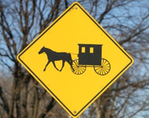 Episode 171 - Amish Romance (w/ Gwendolyn Kiste)